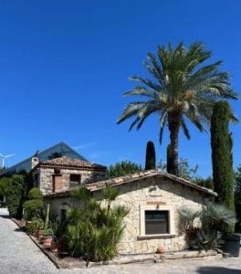 Ruta de Viñedos en Urla