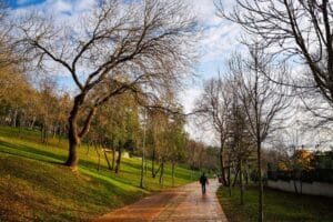 ALT=Parques de estambul