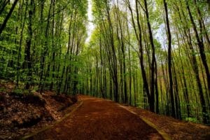 parque natural polenezkoy